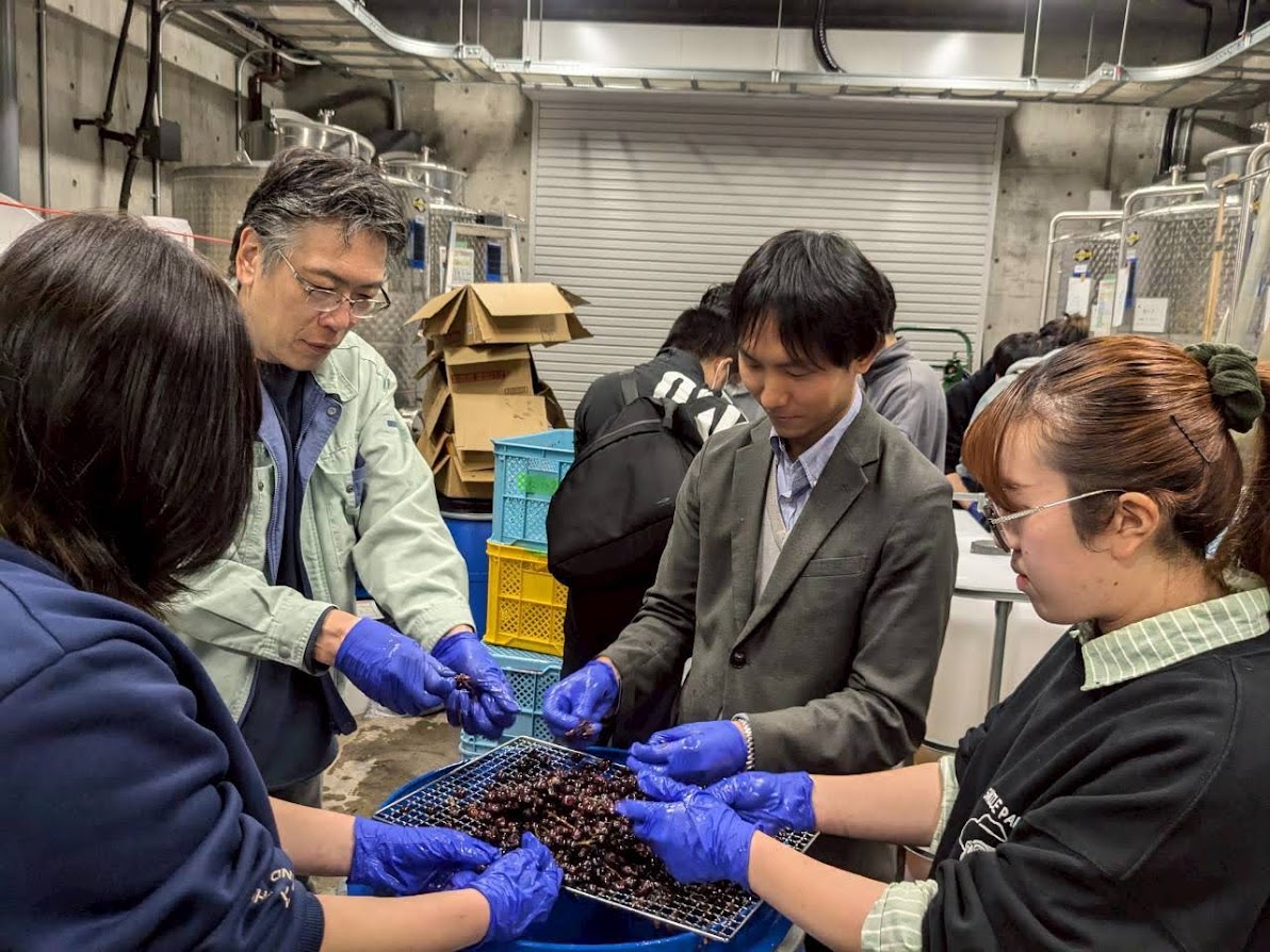 ☆再販☆J200＃梦境邂逅(炫彩)wines切り売り海外人物マステ女の子 酪農学園大学ワイン(ロゼ・やや甘口） | すべての商品 | 北海道ワイン