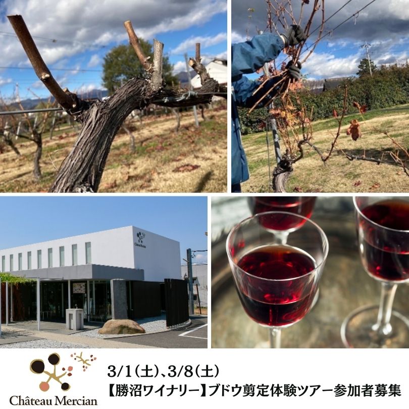 【終了】【勝沼ワイナリー】3月1日・8日　ブドウ剪定体験ツアー参加者募集