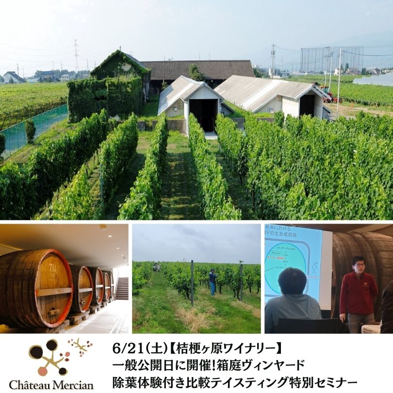 【終了】【桔梗ヶ原ワイナリー】6/21(土)一般公開日に開催！箱庭ヴィンヤード　除葉体験付き比較テイスティング特別セミナー