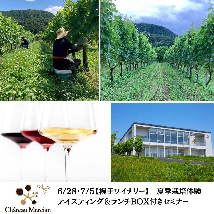 【終了】【椀子ワイナリー】6/28･7/5 夏季栽培体験　テイスティング＆ランチBOX付きツアー