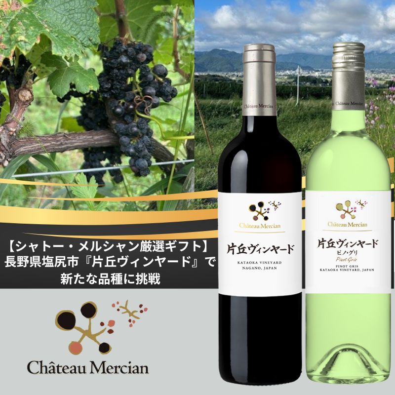 【シャトー・メルシャン厳選ギフト】未来を拓く注目産地　長野県片丘地区産　赤白ワインセット（贈答箱入り）　※送料当社負担（沖縄除く）