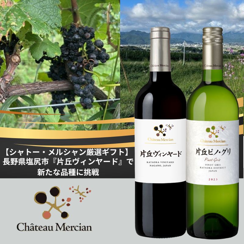 【シャトー・メルシャン厳選ギフト】未来を拓く注目産地　長野県片丘地区産　赤白ワインセット（贈答箱入り）　※送料当社負担（沖縄除く）