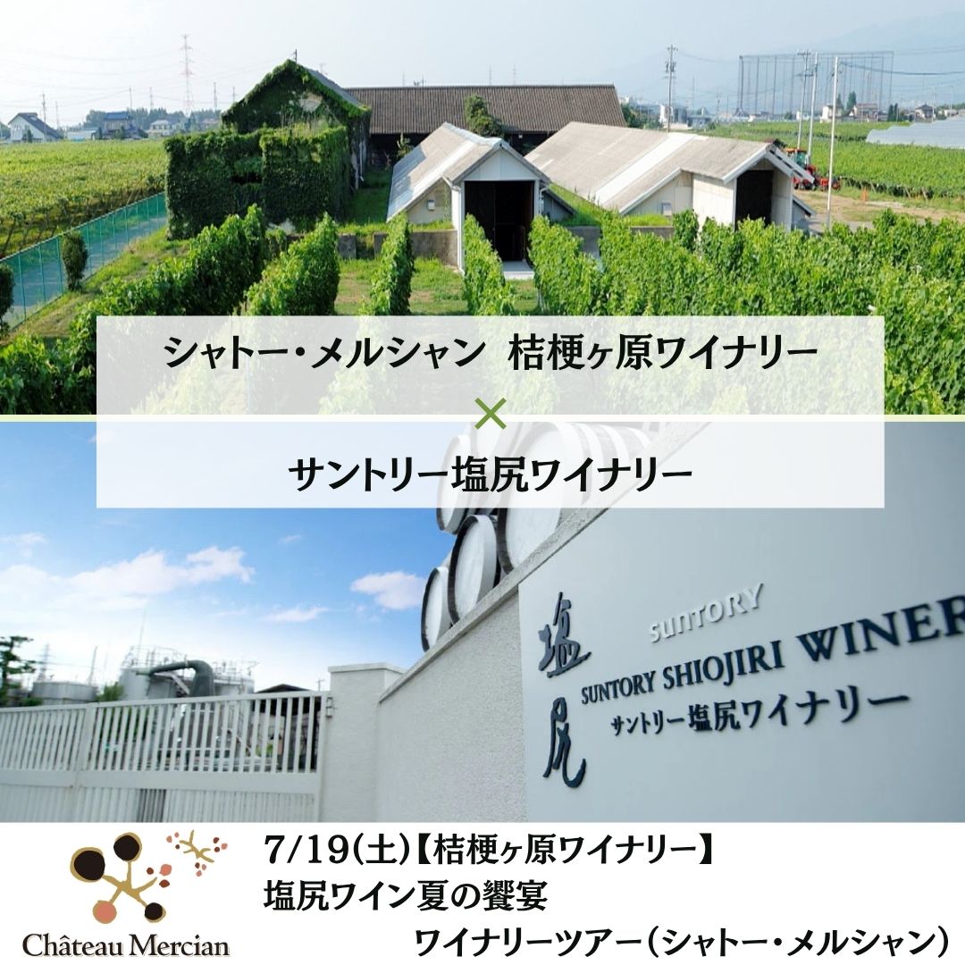 【桔梗ヶ原ワイナリー】7/19(土)塩尻ワイン夏の饗宴　～サントリー塩尻ワイナリー＆シャトー・メルシャン　桔梗ヶ原ワイナリー～​　ワイナリーツアー