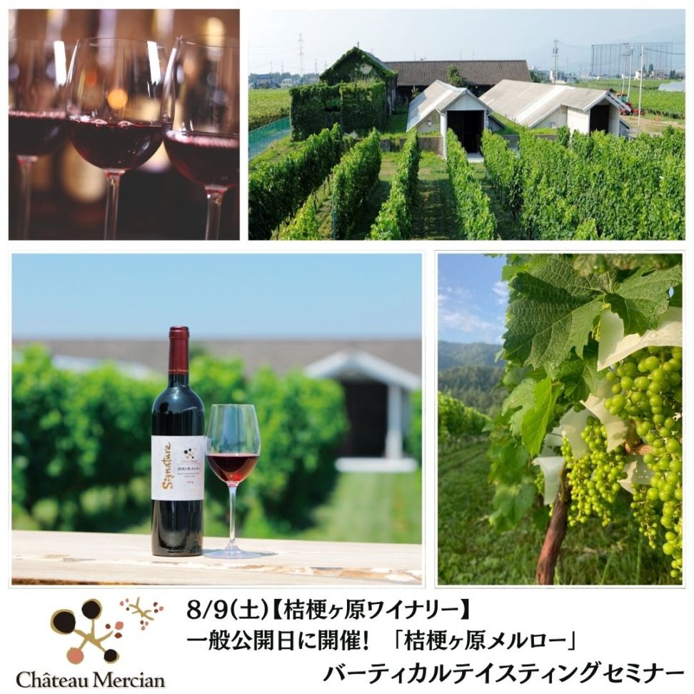 【終了】【桔梗ヶ原ワイナリー】8/9(土)一般公開日に開催!桔梗ヶ原メルロー バーティカルテイスティングセミナー