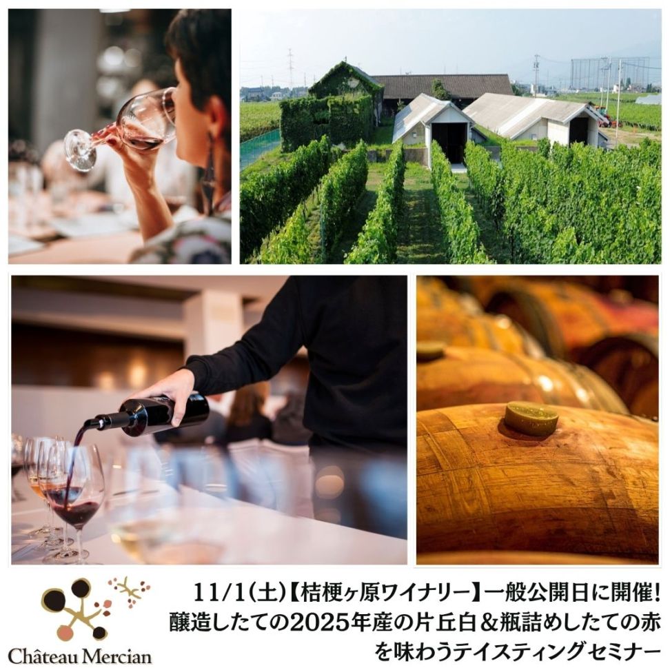 【終了】【桔梗ヶ原ワイナリー】11/1(土)一般公開日に開催!醸造したての2025年産の片丘白&瓶詰めしたての赤を味わうテイスティングセミナー