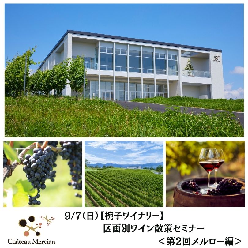 【終了】【椀子ワイナリー】9/7(日)区画別ワイン散策セミナー<第2回メルロー編>