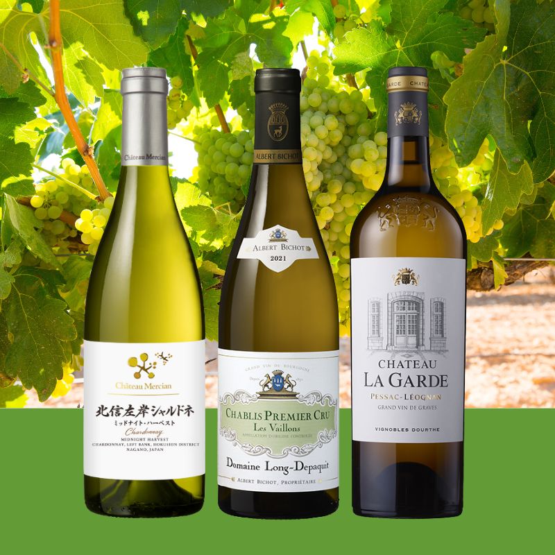 豪華日仏『左岸』満喫白ワインセット ※送料当社負担(沖縄除く)