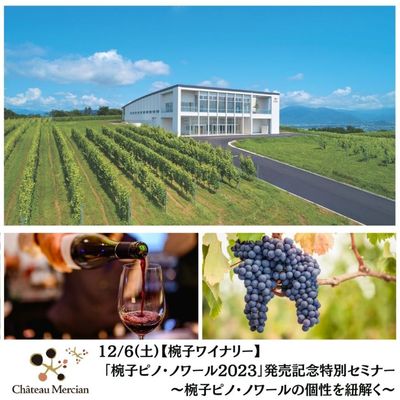 【希少！非売品！】メルシャン・74フェスティバル・スペシャル・セレクション ボトルNo.723 送料無料赤ワインも！白ワインも！スパークリングワインも！当店