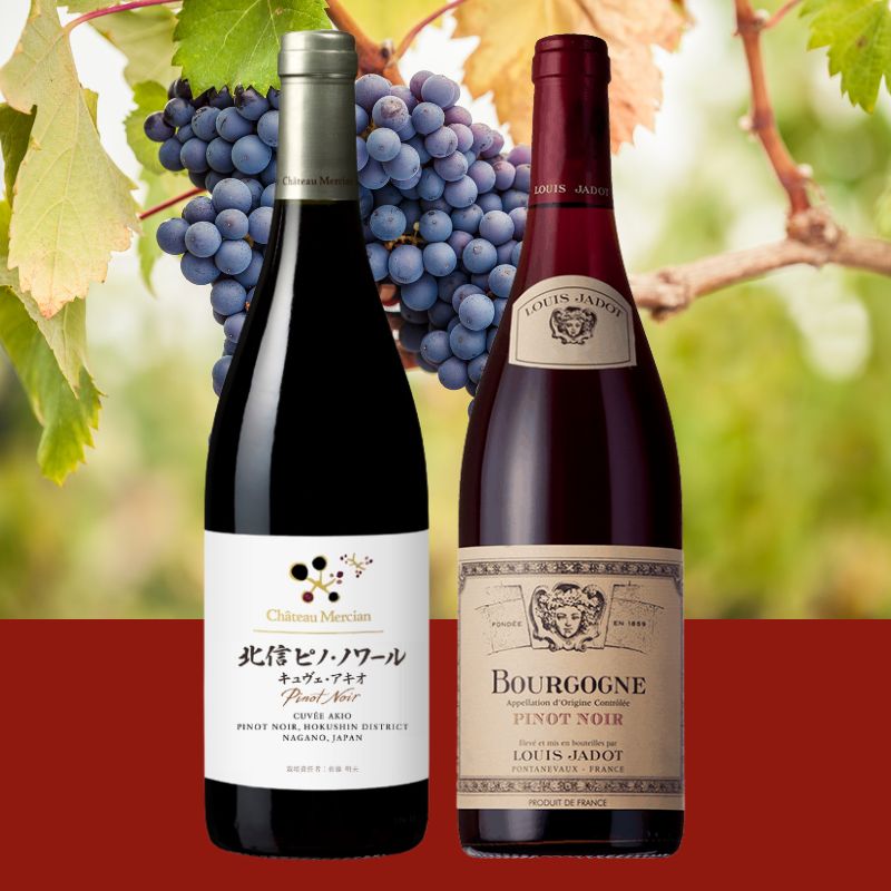「日仏ピノ・ノワール旅」セット　※送料当社負担（沖縄除く）