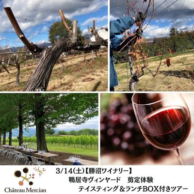 メルシャングループ直営のワイン通販 Château Mercian Online【公式】