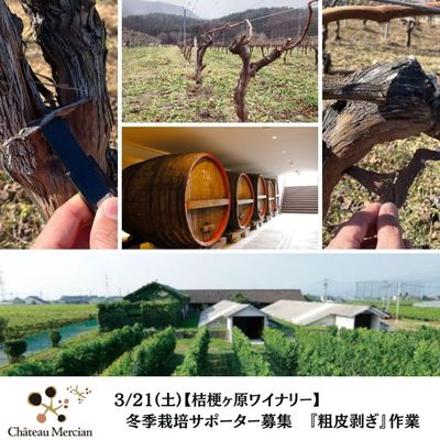 メルシャングループ直営のワイン通販 Château Mercian Online【公式】