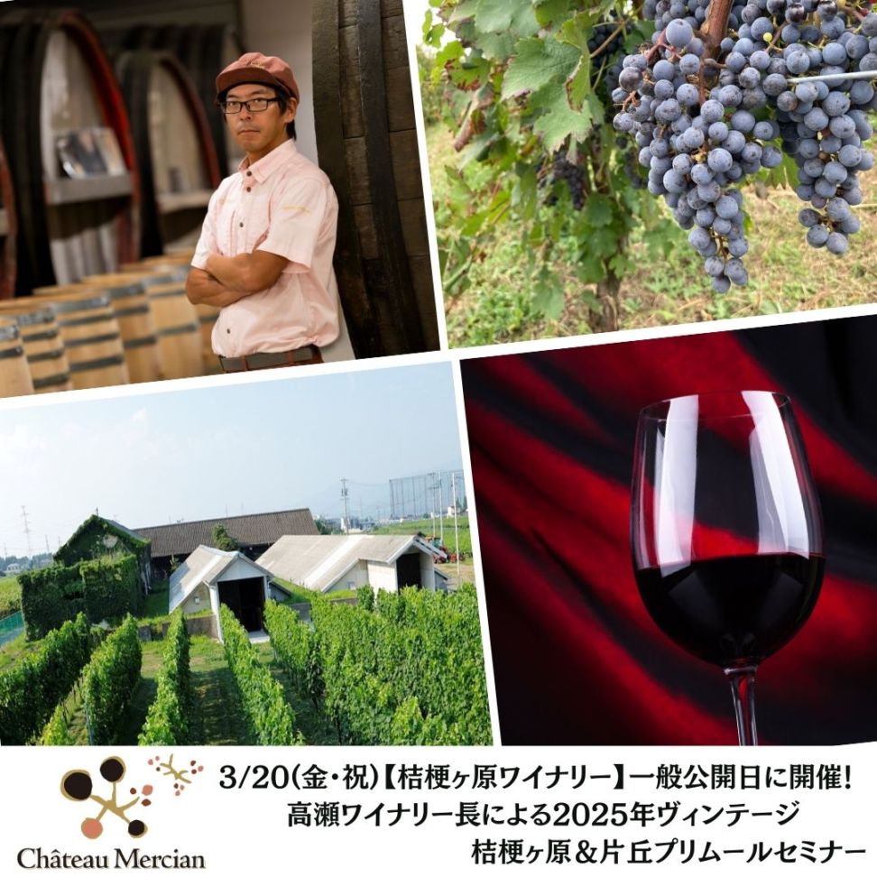 【桔梗ヶ原ワイナリー】3/20(金・祝)一般公開日に開催！高瀬ワイナリー長による2025年ヴィンテージ桔梗ヶ原＆片丘プリムールセミナー