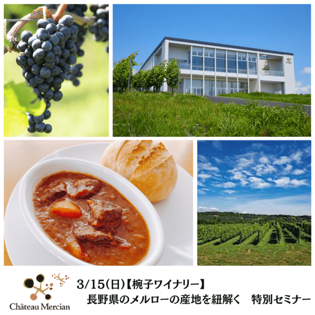 【椀子ワイナリー】3/15(日)長野県のメルローの産地を紐解く　特別セミナー
