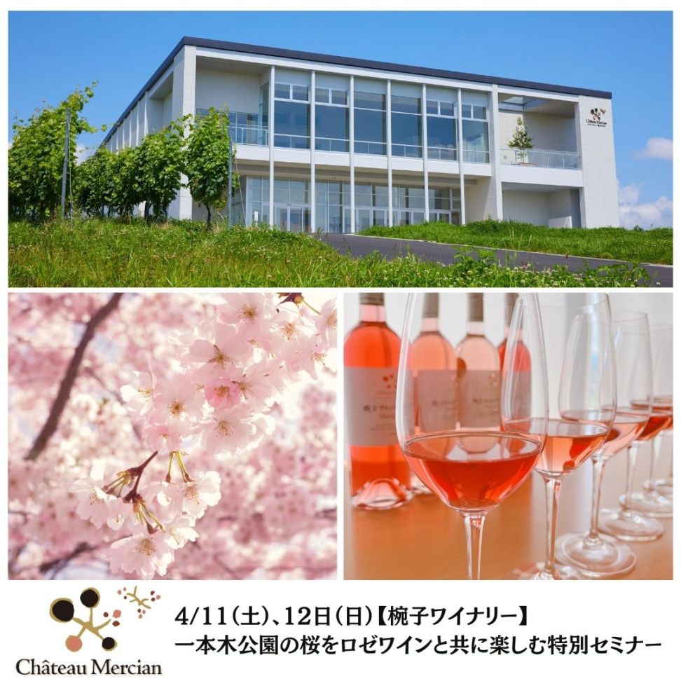 【椀子ワイナリー】4/11（土）、12日（日）一本木公園の桜をロゼワインと共に楽しむ特別セミナー