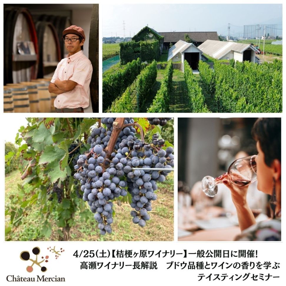 【桔梗ヶ原ワイナリー】4/25(土)一般公開日に開催！ 高瀬ワイナリー長が解説、ブドウ品種とワインの香りを学ぶテイスティングセミナー