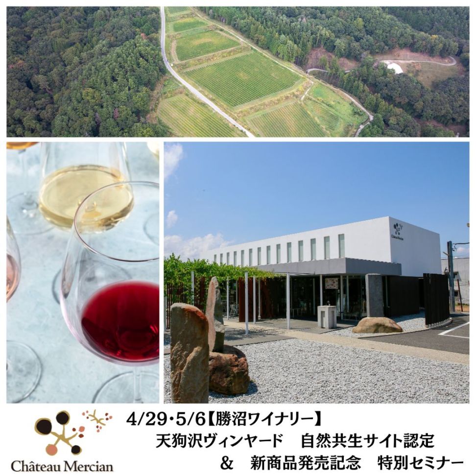 【勝沼ワイナリー】4/29(水)・5/6(水)天狗沢ヴィンヤード　自然共生サイト認定＆新商品発売記念　特別セミナー