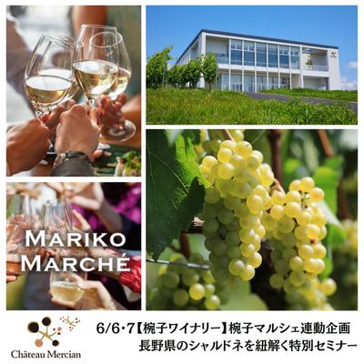 サクラアワード2026 シルバー受賞】ペンフォールズ クヌンガ・ヒル