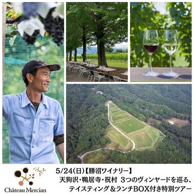 メルシャングループ直営のワイン通販 Château Mercian Online【公式】