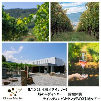 メルシャングループ直営のワイン通販 Château Mercian Online【公式】