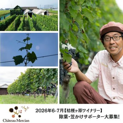 メルシャングループ直営のワイン通販 Château Mercian Online【公式】