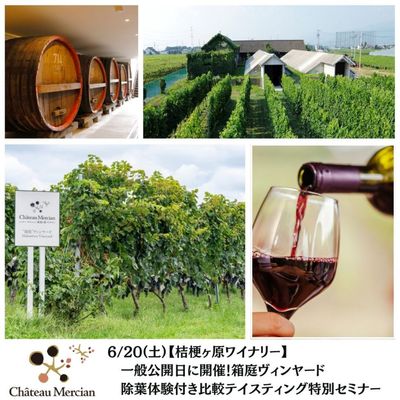 メルシャングループ直営のワイン通販 Château Mercian Online【公式】