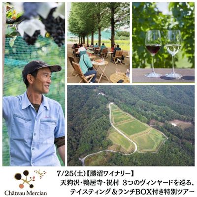 勝沼ワイナリー】6/13(土)城の平ヴィンヤード 除葉体験 テイスティング