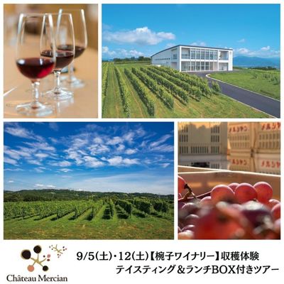 メルシャングループ直営のワイン通販 Château Mercian Online【公式】