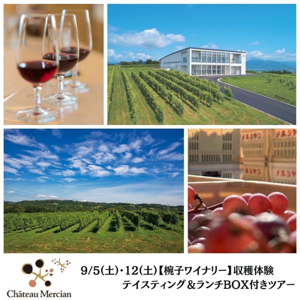 【椀子ワイナリー】9/5(土)・12(土)収穫体験　テイスティング＆ランチBOX付きツアー