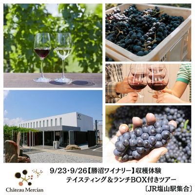 ギフトにもおすすめ】日本のスパークリングワインセット（贈答箱入り