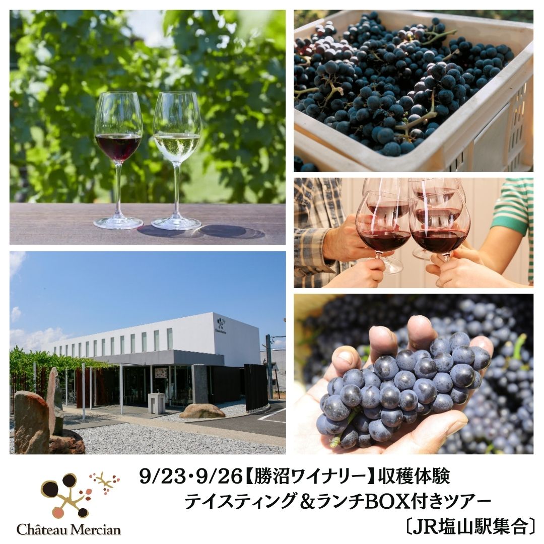 【勝沼ワイナリー】9/23(水祝)、9/26(土)収穫体験　テイスティング＆ランチBOX付きツアー〔JR塩山駅集合〕