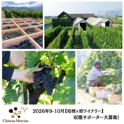 トリヴェント リザーブ シャルドネ 2023 | シャトー・メルシャンonline