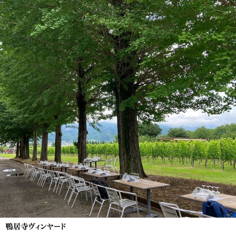 勝沼ワイナリー】5/24(日)天狗沢・鴨居寺・祝村 3つのヴィンヤードを