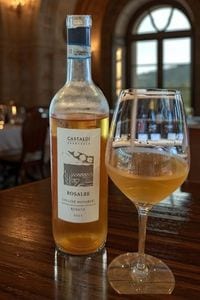 ���å꡼�͡��Υ����졼�����������ȡ���������١�/COLLINE NOVARESI DOC ROSATO 2024 ��ROSALBE�� DOC