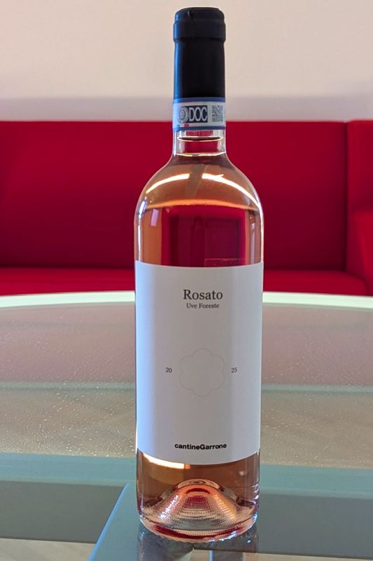 �ԥ����� DOC �������ȡɥ������� �ե��쥹�ơ�  Piemonte DOC Rosato Uve Foreste 2025