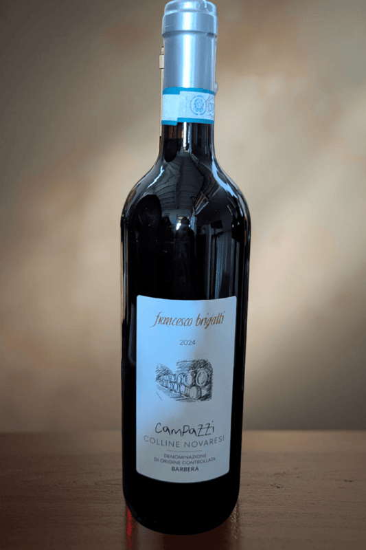���å꡼�͡��Υ����졼�����Х�١��顡�ɥ���ѥåĥ���COLLINE NOVARESI DOC BARBERA "Campazzi"��2024