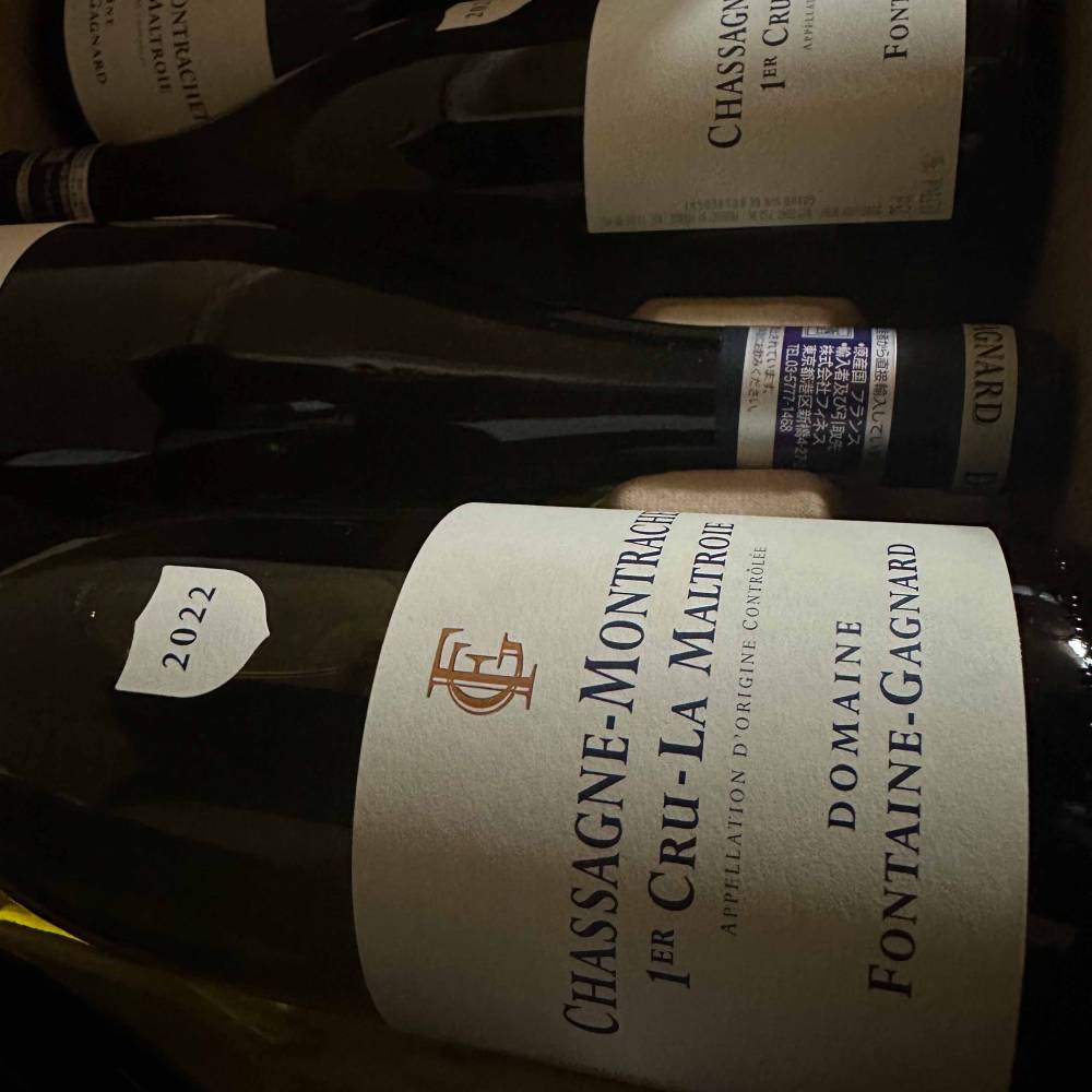 2022 ���㥵���˥� ����å��� 1er �� �ޥ�ȥ��� ������ �ե���ơ��� ���˥㡼��ڥ֥르���˥�ۡڥե��ͥ�͢���ʡۡڥ��ե� £���ѡ�