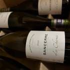 2023 󥻡    ɥ ڥեͥ͢ʡ