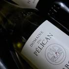 2022 ܥ  ԥ Υ  ɥ᡼  ڥꥫ