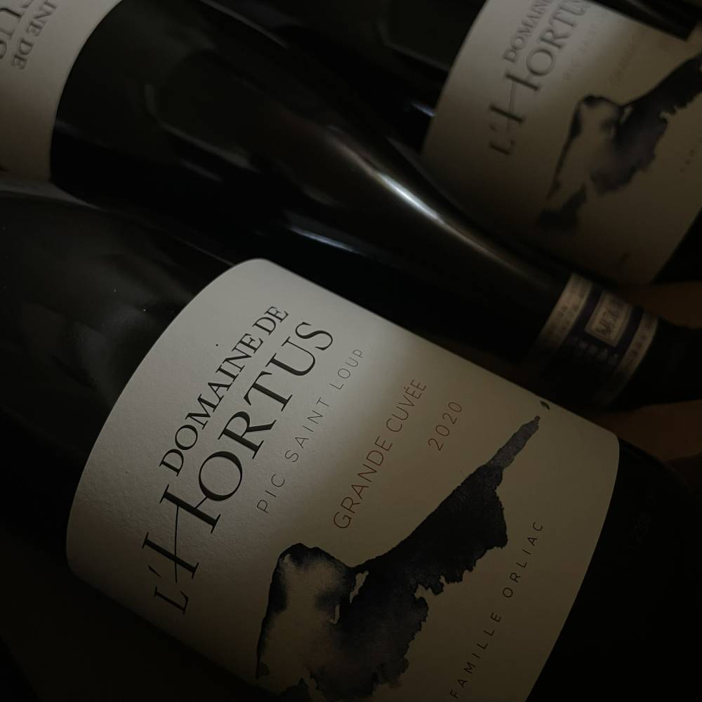 2020 ɡ롼塡 ڥեͥ͢ʡ