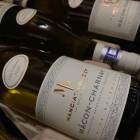 2022 ޥ  ԥޥ󥷥 ݥ󥻡ڥץ쥼бġۡڥեͥ͢ʡ