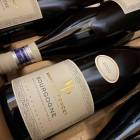 2022  ֥르˥ ԥΥΥ롡ԥޥ󥷥 ݥ󥻡ڥץ쥼бġۡڥեͥ͢ʡ