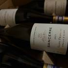 2021 󥻡  ե󥽥  ɥ ڥեͥ͢ʡ