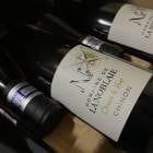 2023 Υ ֥   ɥ᡼  顡Υ֥ڥեͥ͢ʡ