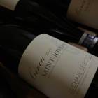 2023 󥸥祻 ֥ 륫  쥯  륤 㡼 ڥեͥ͢ʡۡڥե £ѡۡڥץ쥼бġ