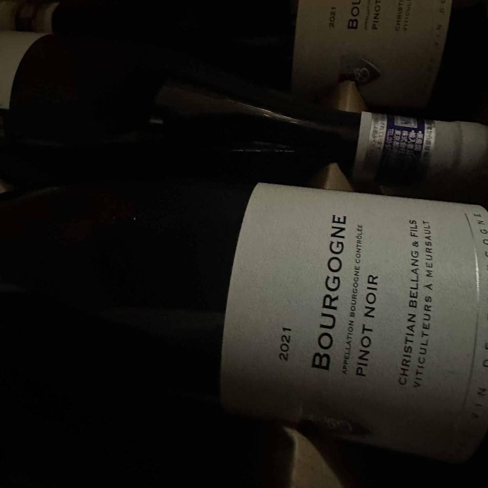 2023 ֥르˥ ԥΥΥ   ꥹ ٥ ڥ֥르˥ۡڥեͥ͢ʡ