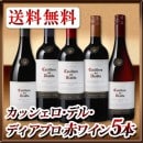 ̵ۥåǥ롦ǥ֥֥磻5ܥåȡ