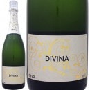 �ǥ��������ʡ����С��֥��å�