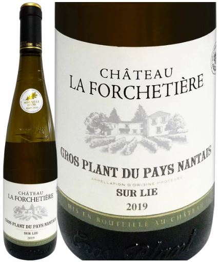 ����ȡ����顦�ե��륷���ƥ������롦�������ץ�󡦥ڥ����ʥ�ơ����塼�롦�꡼ 2019