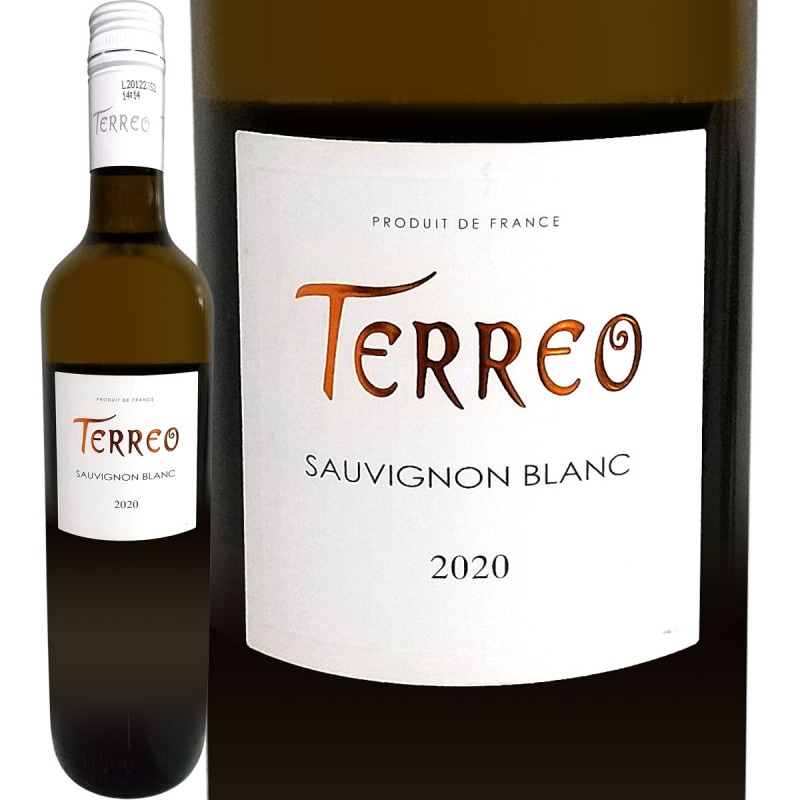 �ƥ쥪�����������˥�� 2020