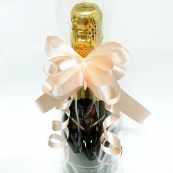 �ʰץ�åԥ󥰡ڥ������ԥ󥯡ۡ�Ʃ���ޡ���ܥ��